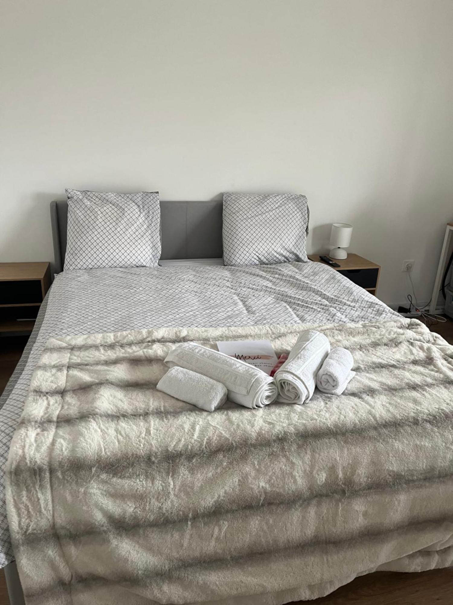 Appartement Luxueux Au Coeur De Lille Zewnętrze zdjęcie